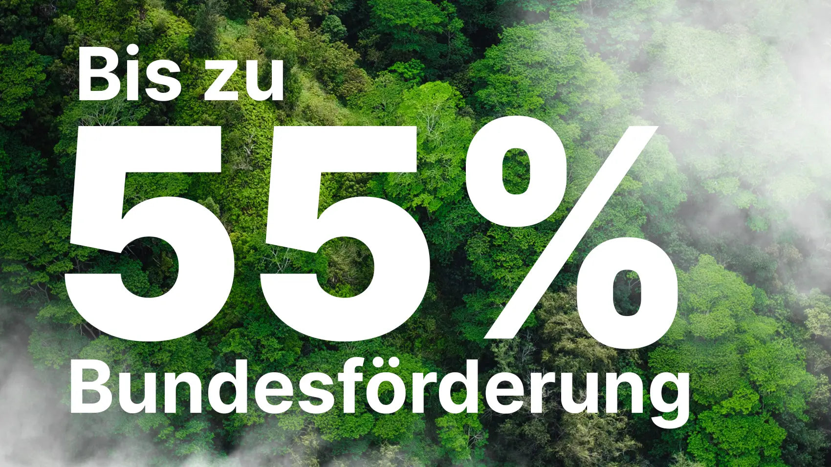 Hinweis auf bis zu 55 Prozent Bundesförderung auf elektrisch beheizte Dampferzeuger